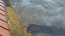 Nástup na běžecké tratě