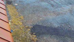 Nástup na běžecké tratě