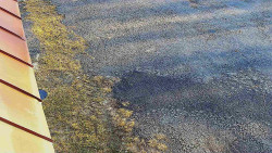 Nástup na běžecké tratě