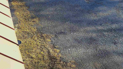 Nástup na běžecké tratě