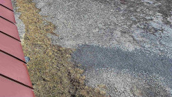 Nástup na běžecké tratě