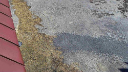 Nástup na běžecké tratě