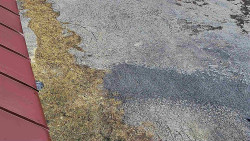 Nástup na běžecké tratě