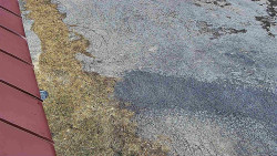 Nástup na běžecké tratě