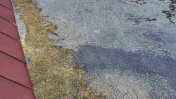 Nástup na běžecké tratě