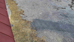 Nástup na běžecké tratě