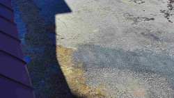 Nástup na běžecké tratě