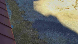 Nástup na běžecké tratě