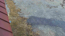 Nástup na běžecké tratě