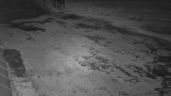 Nástup na běžecké tratě