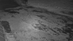 Nástup na běžecké tratě