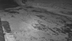 Nástup na běžecké tratě