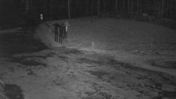 Nástup na běžecké tratě