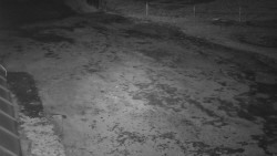 Nástup na běžecké tratě