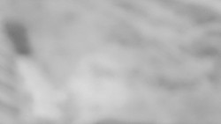 Nástup na běžecké tratě