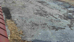 Nástup na běžecké tratě