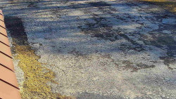 Nástup na běžecké tratě