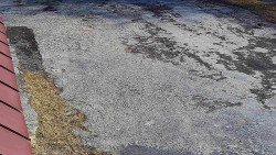 Nástup na běžecké tratě