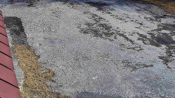 Nástup na běžecké tratě