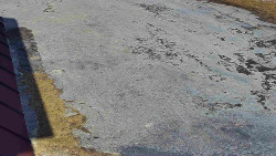 Nástup na běžecké tratě