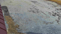 Nástup na běžecké tratě