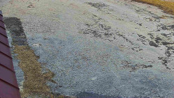 Nástup na běžecké tratě