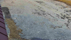 Nástup na běžecké tratě