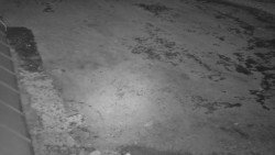 Nástup na běžecké tratě