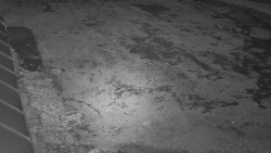 Nástup na běžecké tratě