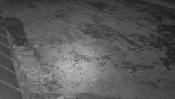 Nástup na běžecké tratě