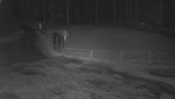 Nástup na běžecké tratě