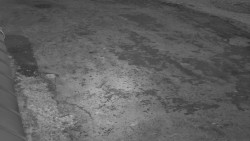 Nástup na běžecké tratě