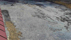 Nástup na běžecké tratě