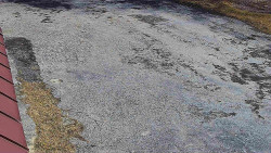 Nástup na běžecké tratě