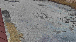 Nástup na běžecké tratě