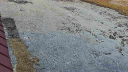 Nástup na běžecké tratě