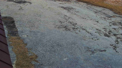 Nástup na běžecké tratě