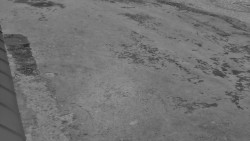 Nástup na běžecké tratě