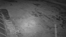 Nástup na běžecké tratě