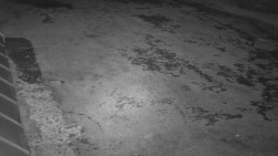 Nástup na běžecké tratě