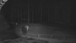 Nástup na běžecké tratě