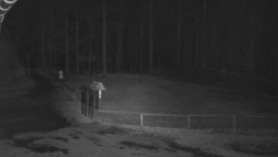 Nástup na běžecké tratě