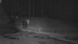 Nástup na běžecké tratě