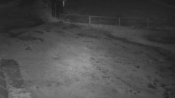 Nástup na běžecké tratě