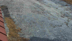 Nástup na běžecké tratě