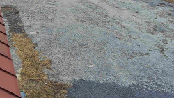 Nástup na běžecké tratě