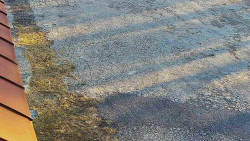 Nástup na běžecké tratě