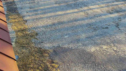 Nástup na běžecké tratě