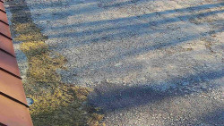 Nástup na běžecké tratě