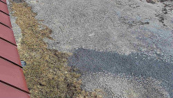 Nástup na běžecké tratě